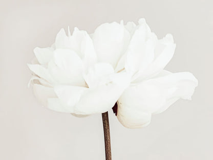 variant-30x40_no-margin