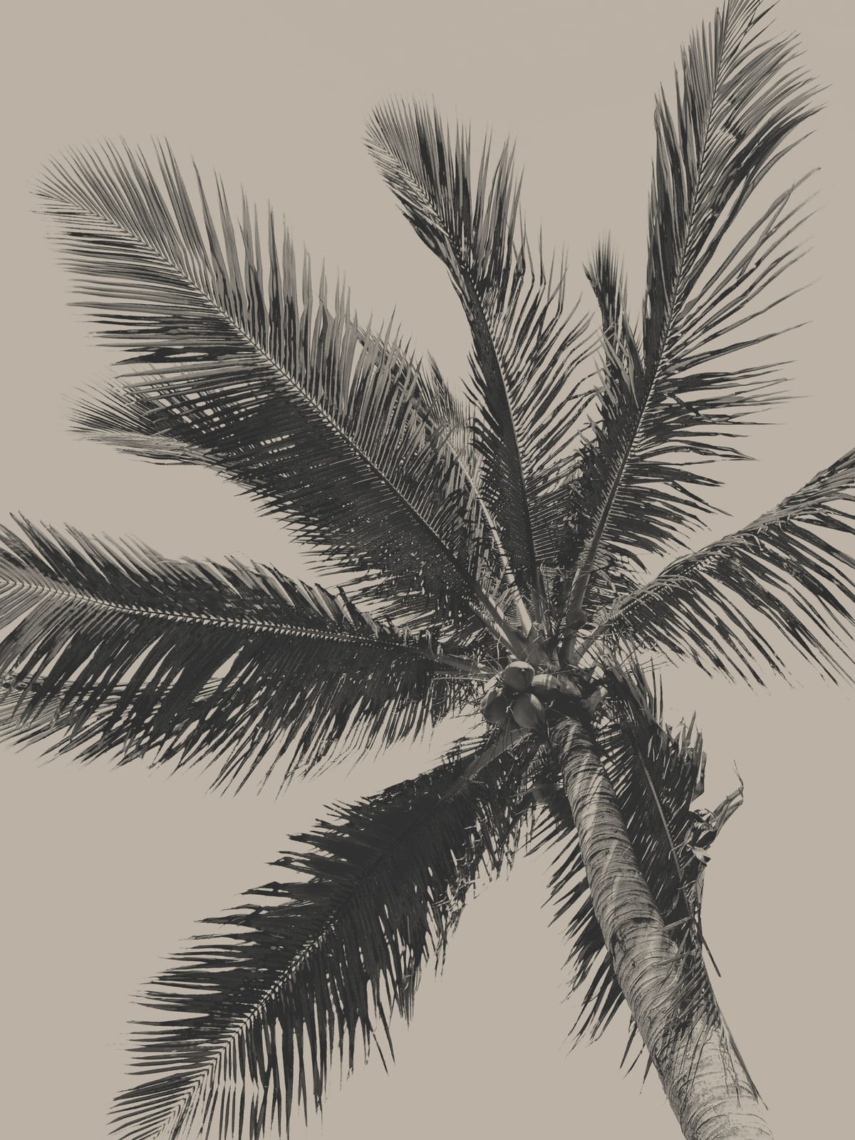 variant-30x40_no-margin