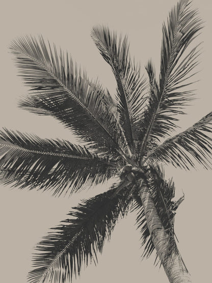 variant-30x40_no-margin
