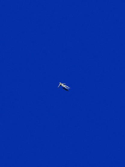 variant-30x40_no-margin