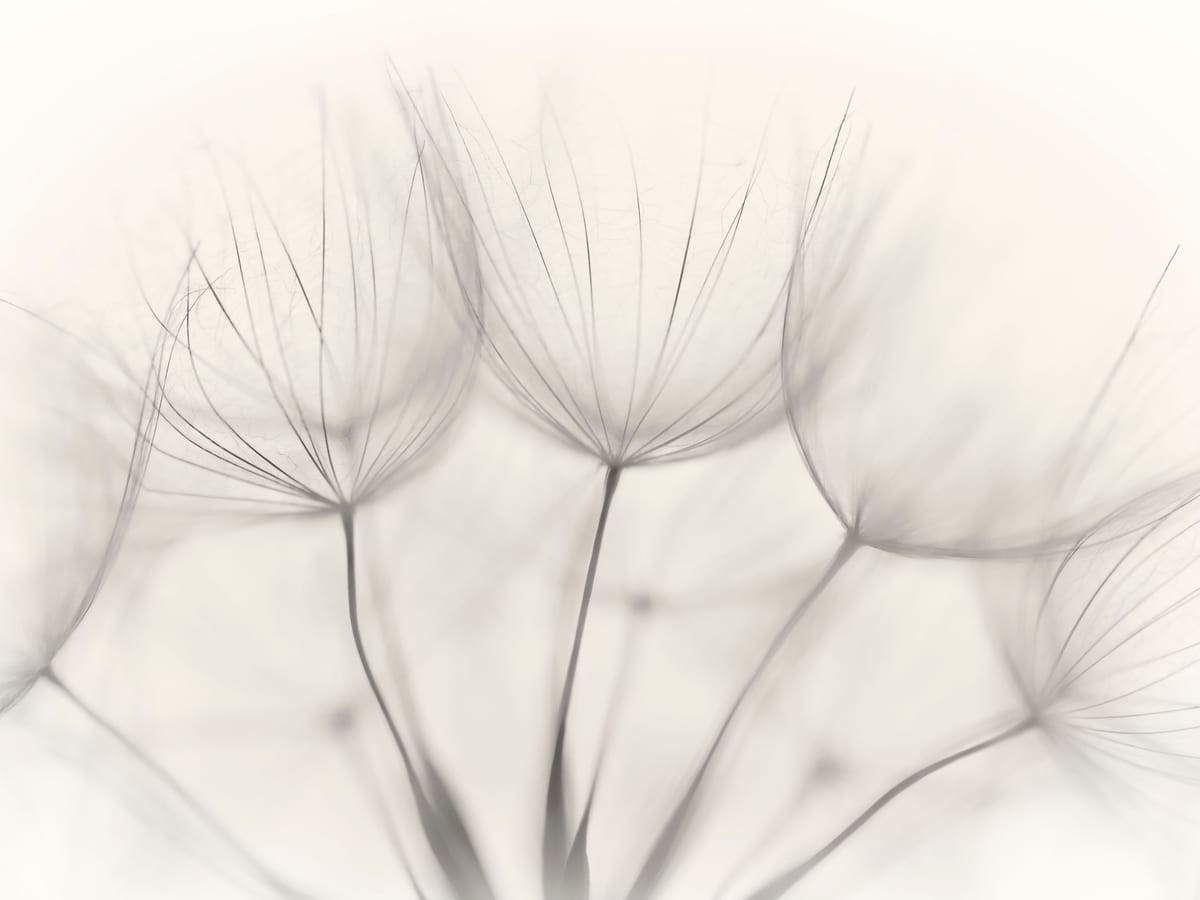 variant-30x40_no-margin