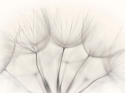 variant-30x40_no-margin
