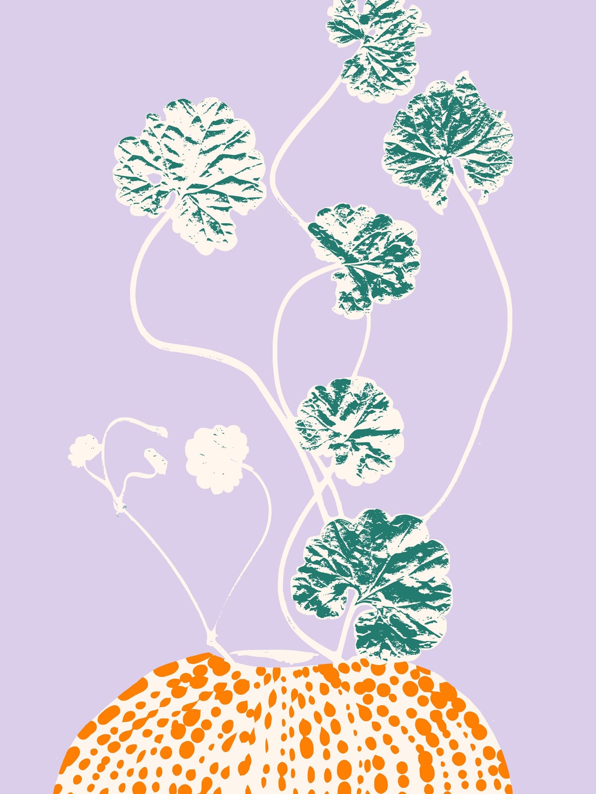 variant-30x40_no-margin