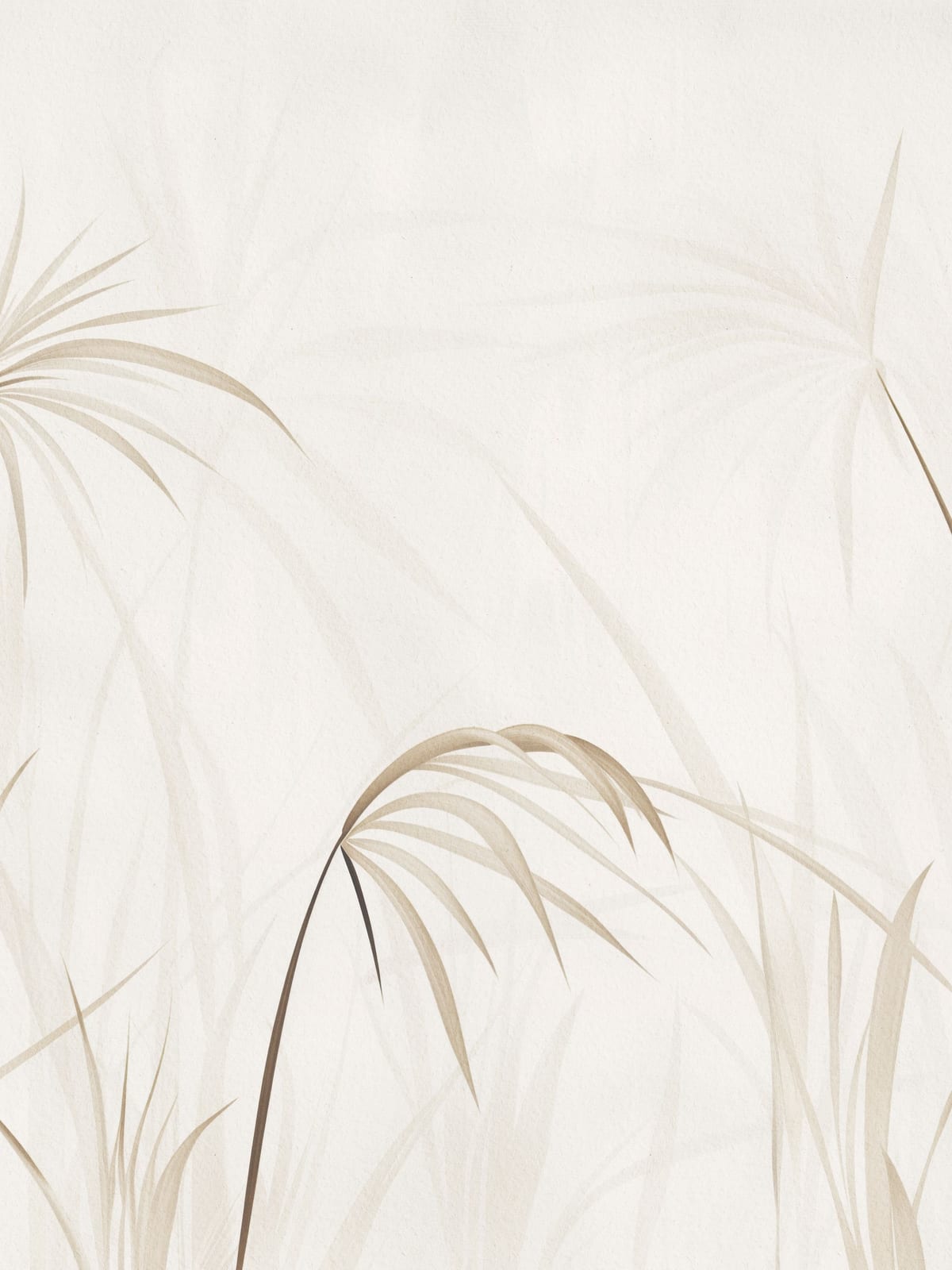 variant-30x40_no-margin