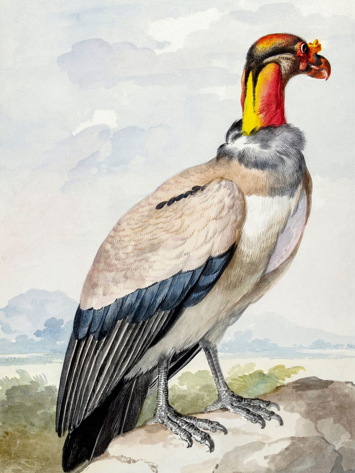 variant-30x40_no-margin