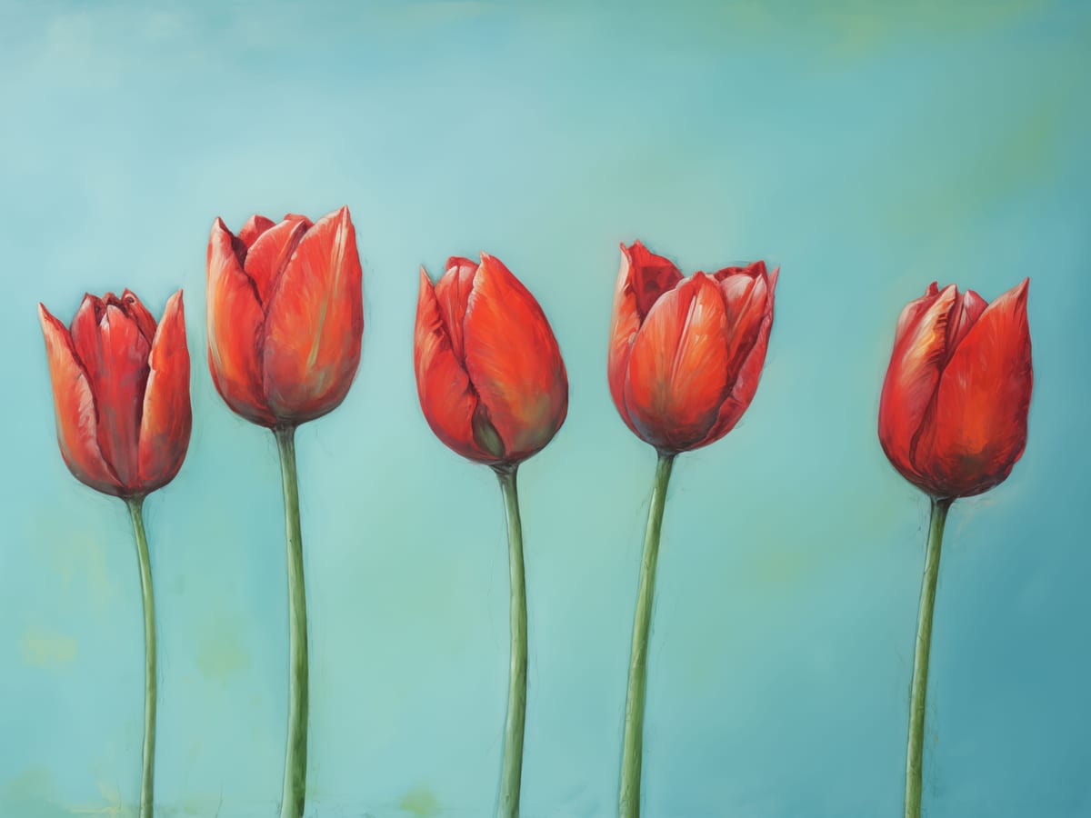 variant-30x40_no-margin