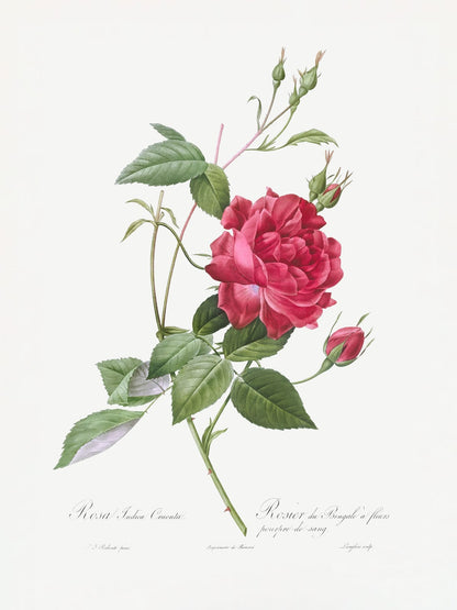 variant-30x40_no-margin