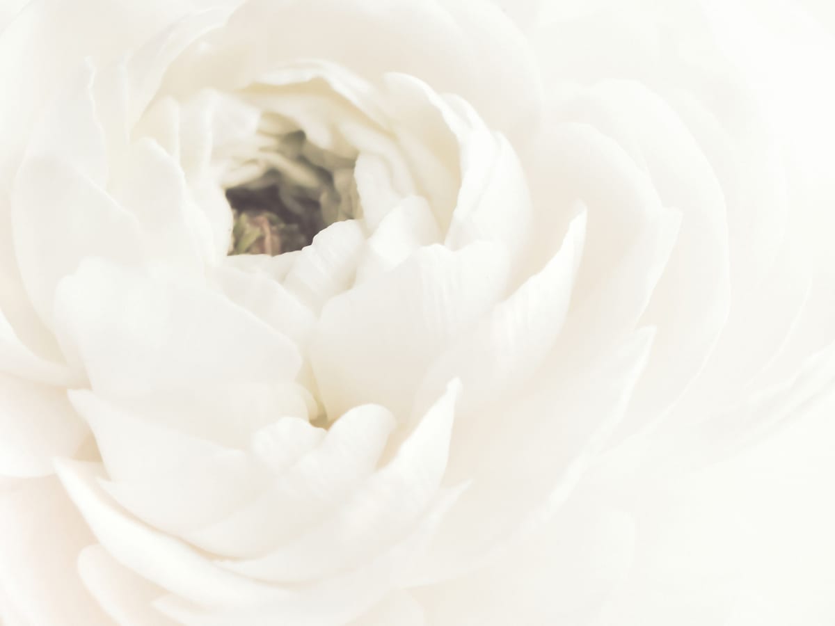 variant-30x40_no-margin