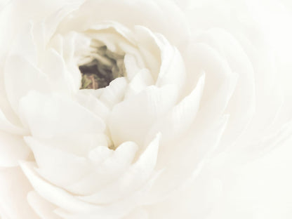 variant-30x40_no-margin