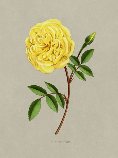 variant-30x40_no-margin