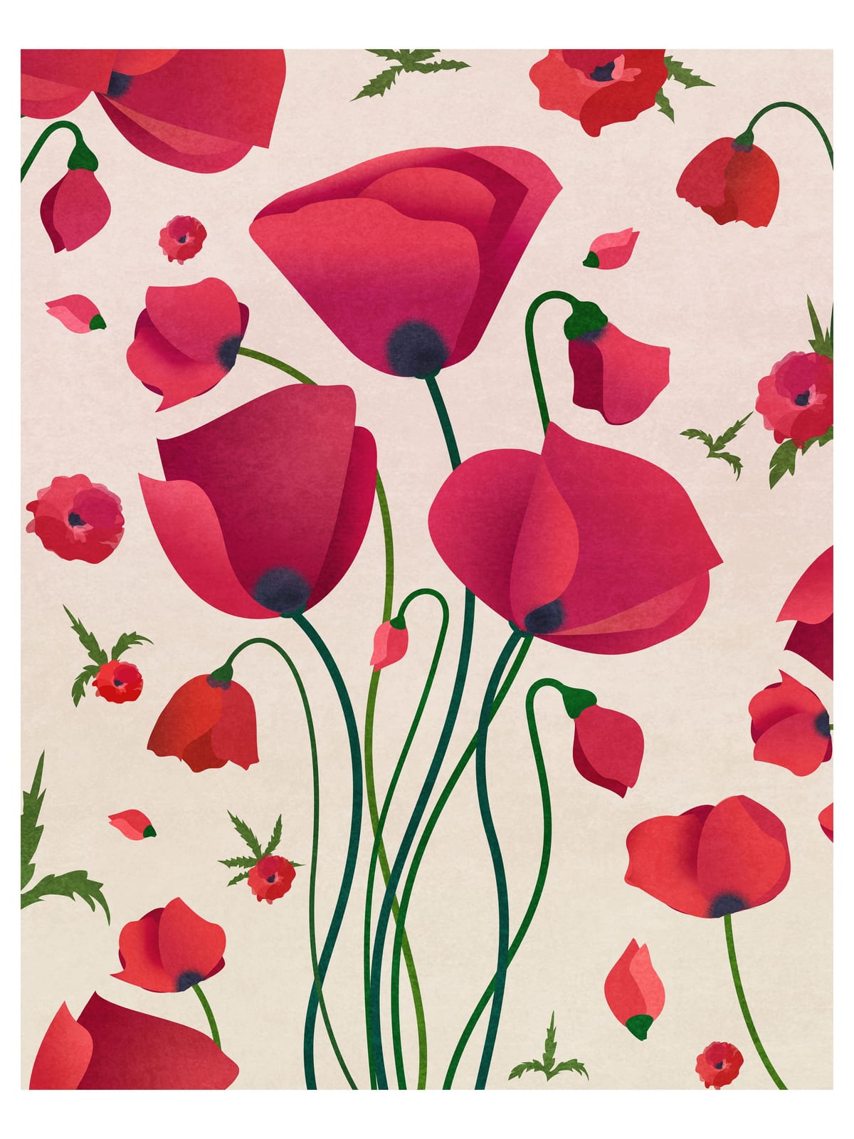variant-30x40_no-margin