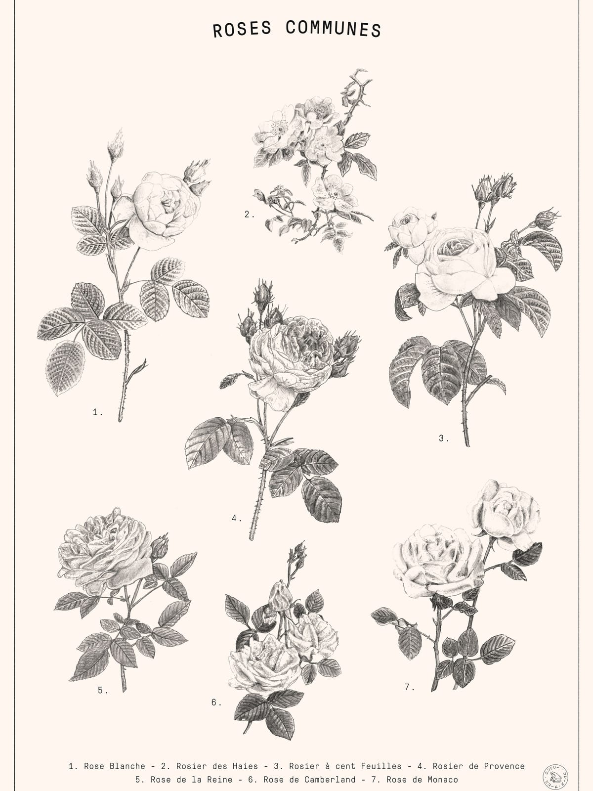 variant-30x40_no-margin