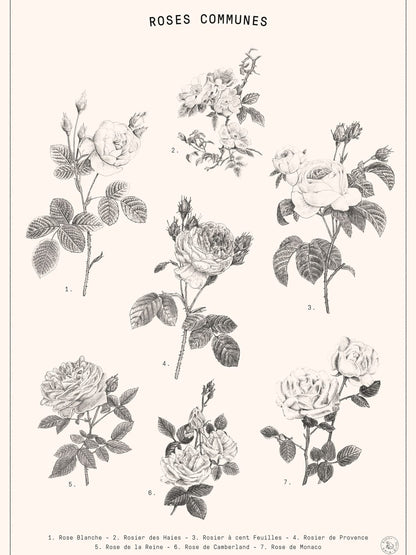 variant-30x40_no-margin