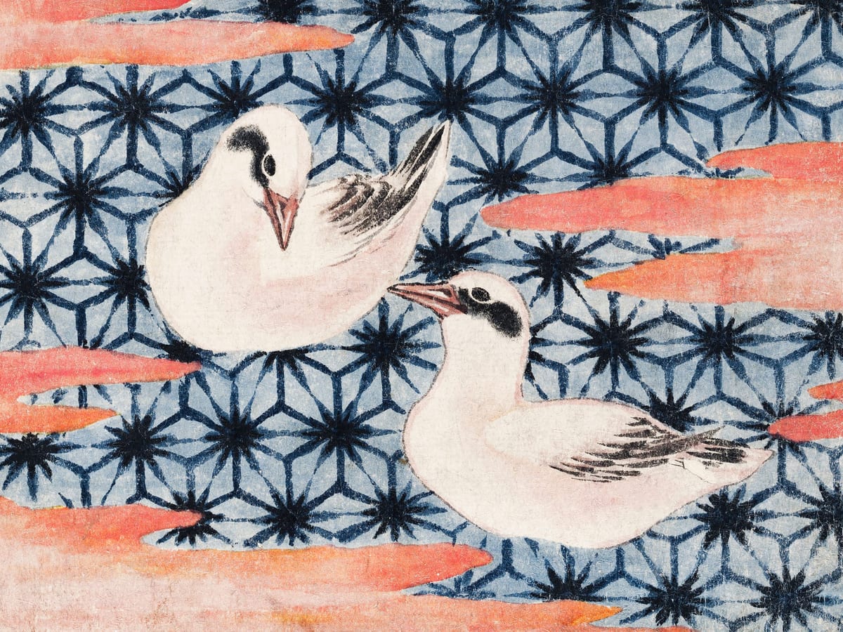 variant-30x40_no-margin