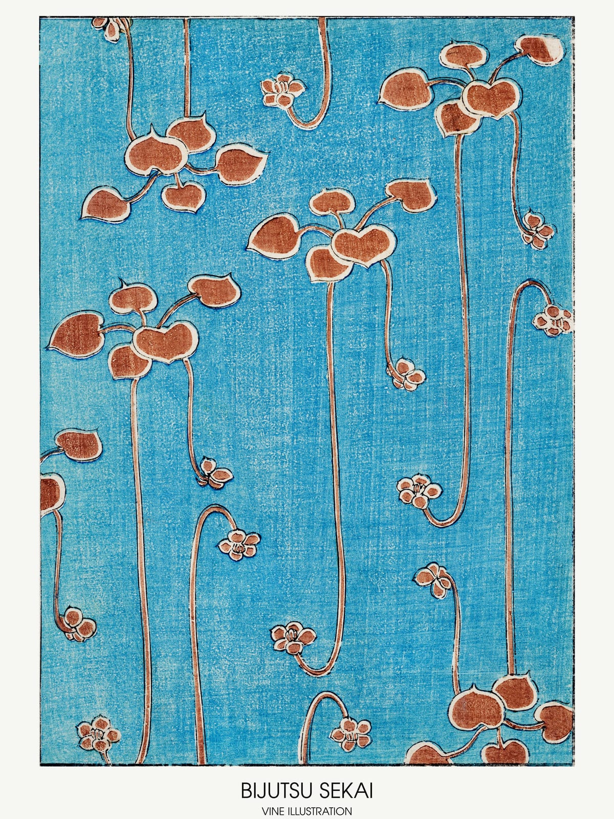 variant-30x40_no-margin