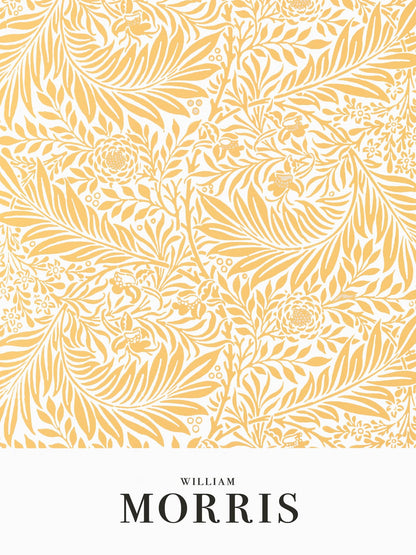 variant-30x40_no-margin