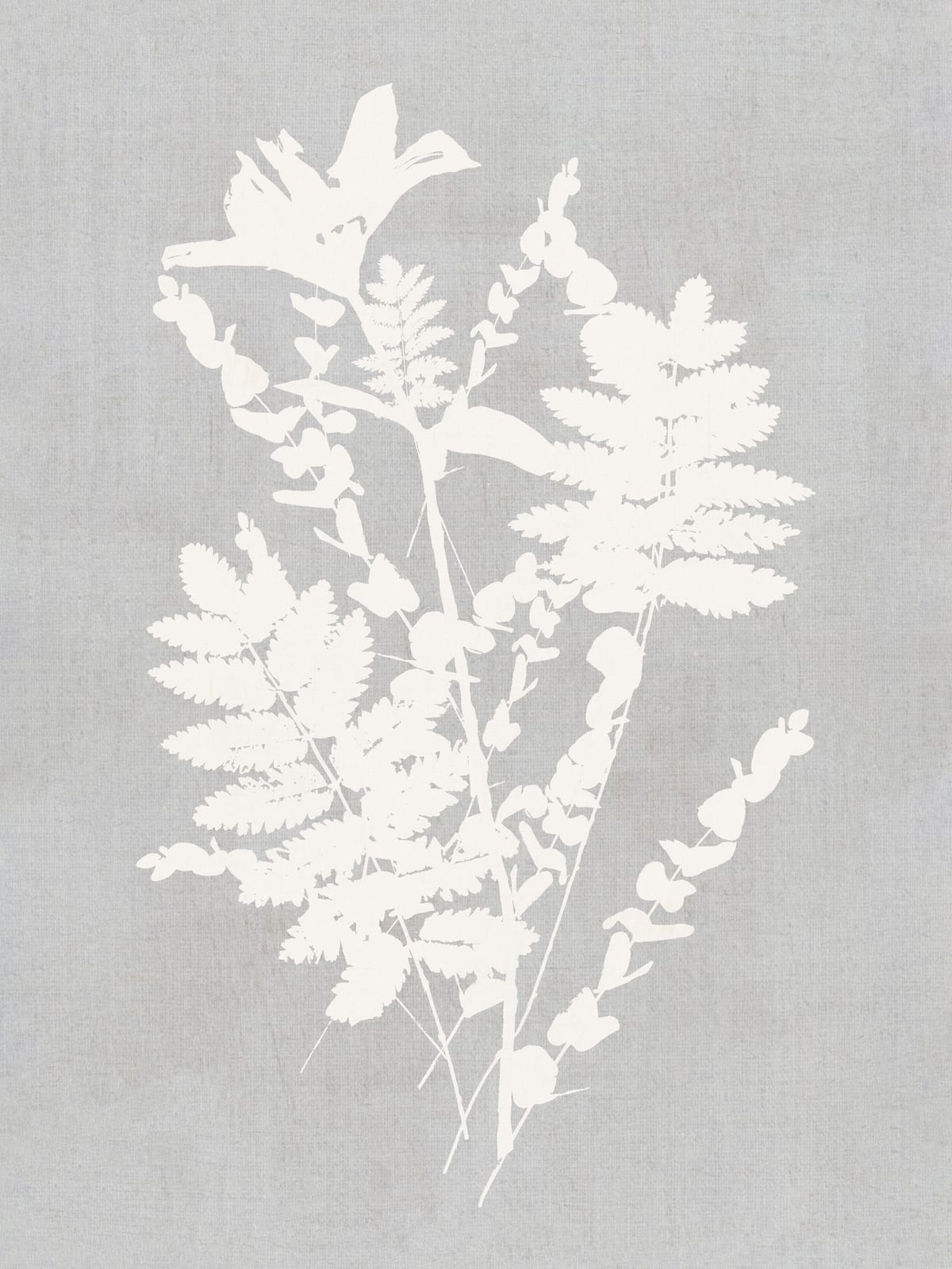 variant-30x40_no-margin