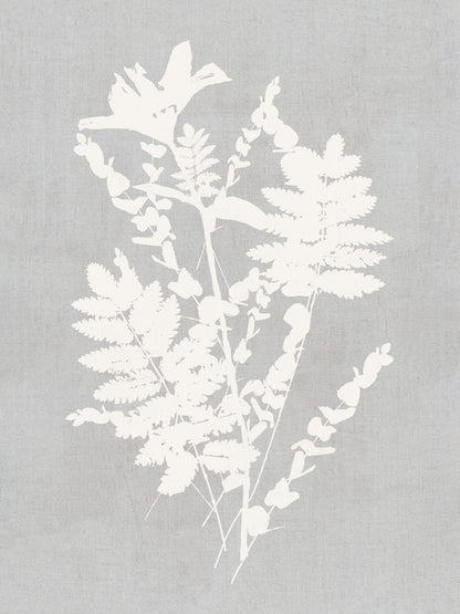 variant-30x40_no-margin
