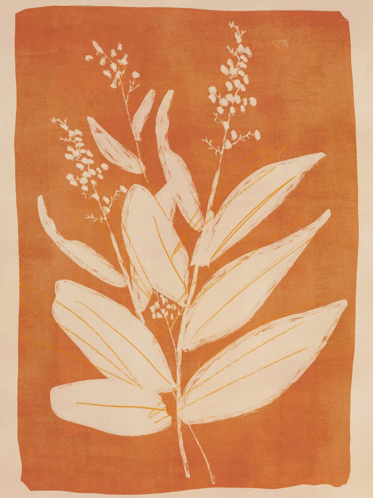 variant-30x40_no-margin