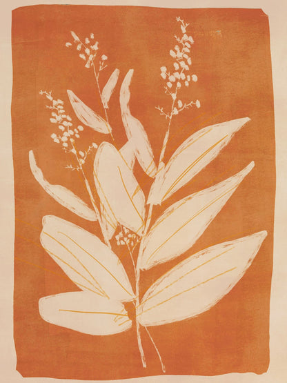 variant-30x40_no-margin