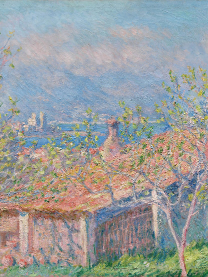 variant-30x40_no-margin