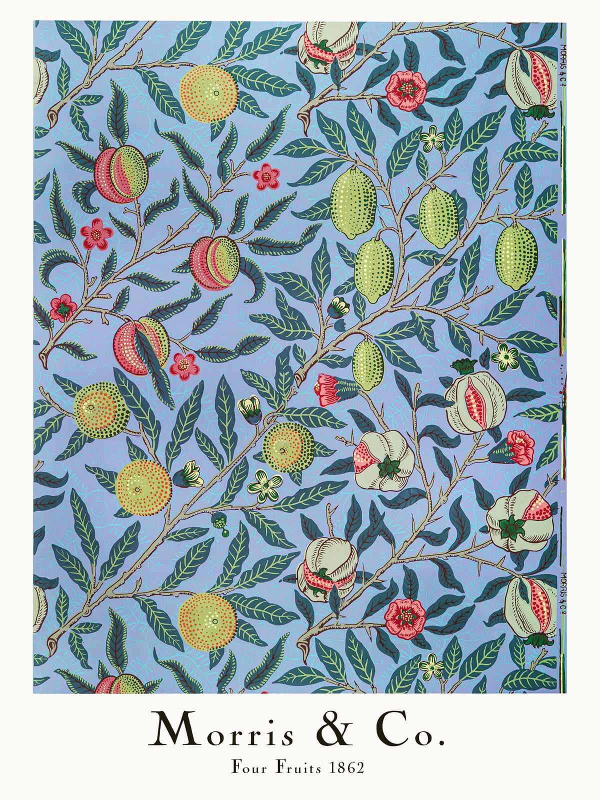 variant-30x40_no-margin