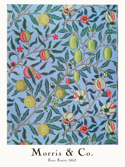 variant-30x40_no-margin