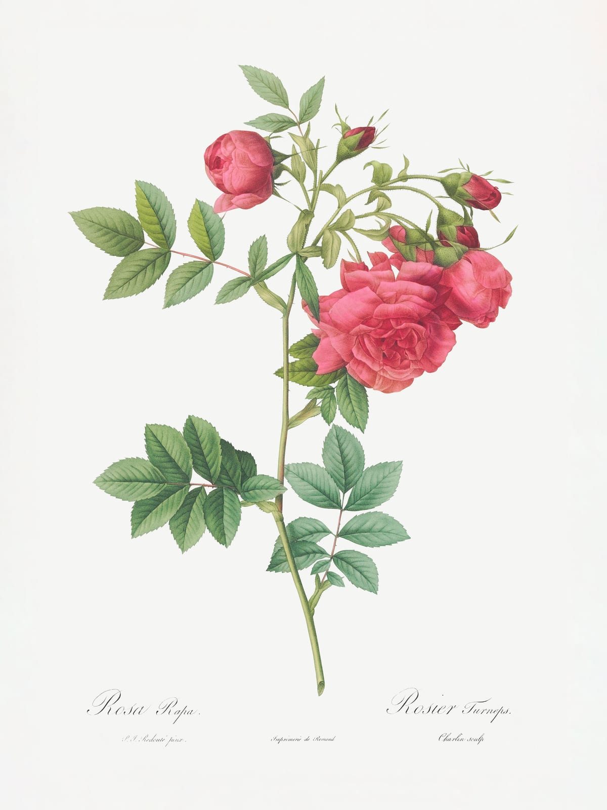 variant-30x40_no-margin