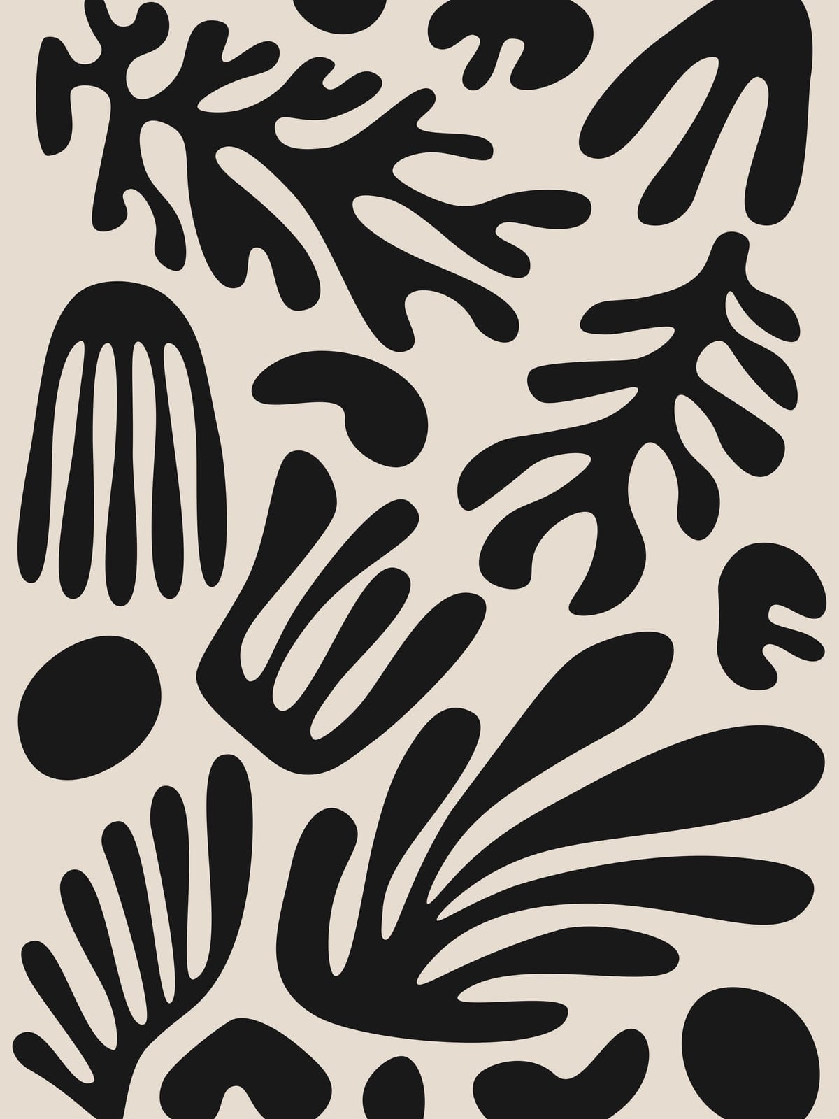 variant-30x40_no-margin