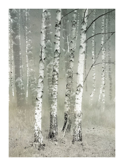 variant-30x40_with-margin