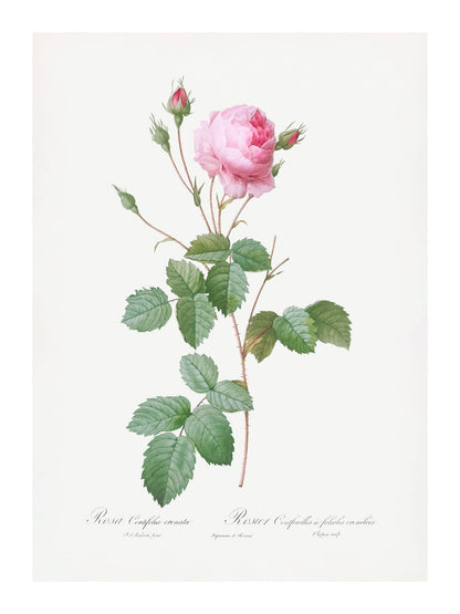 variant-30x40_with-margin