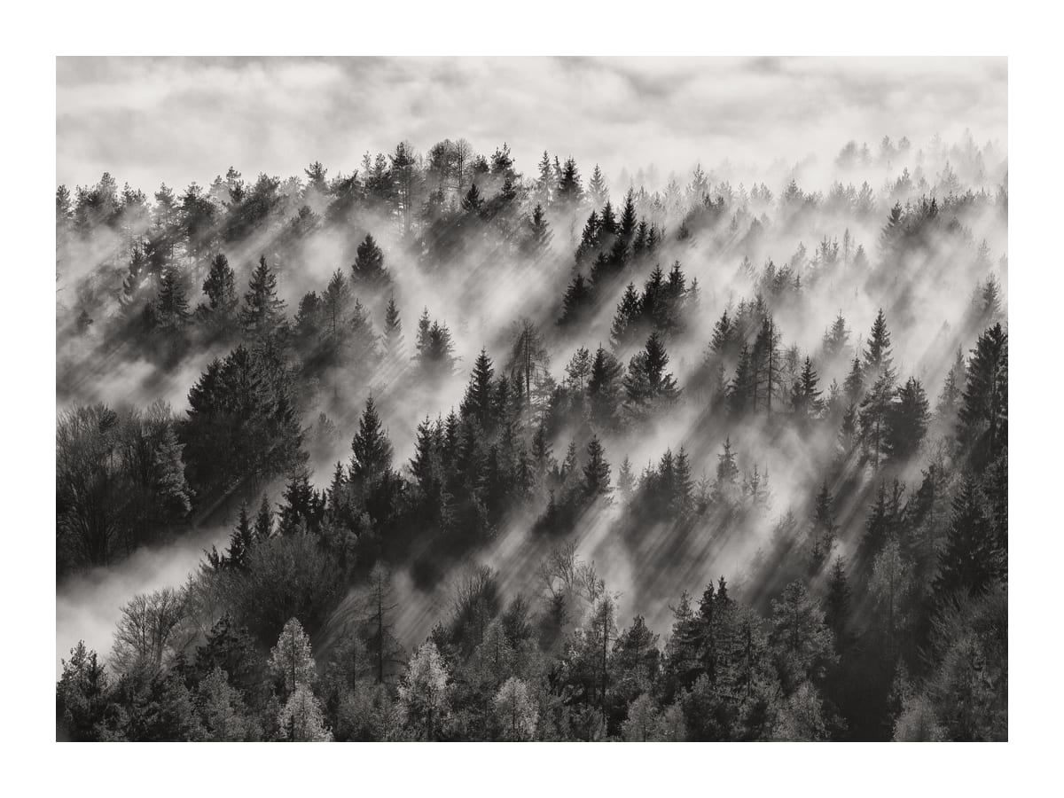 variant-30x40_with-margin