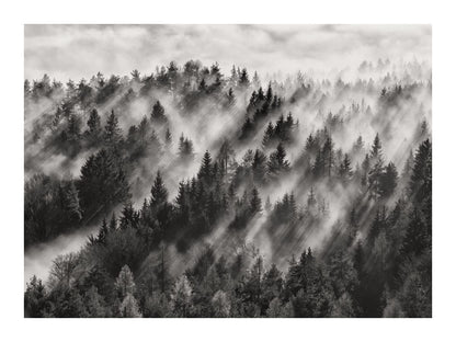 variant-30x40_with-margin