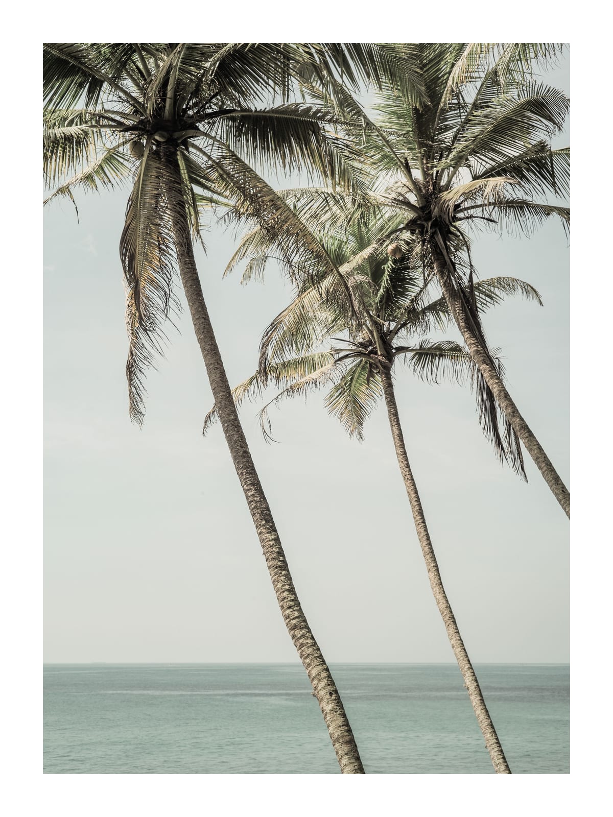 variant-30x40_with-margin