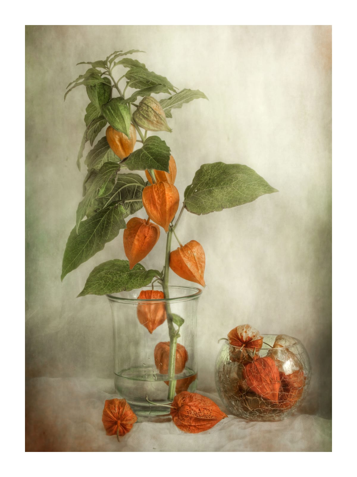 variant-30x40_with-margin