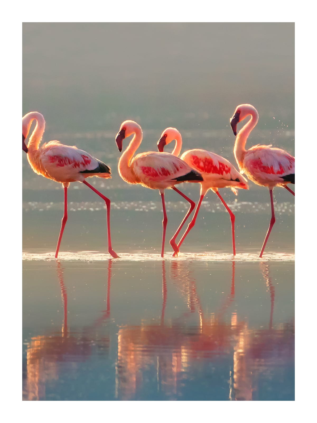 variant-30x40_with-margin