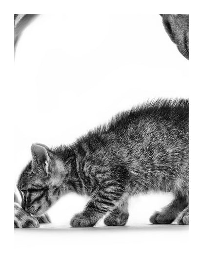 variant-30x40_with-margin