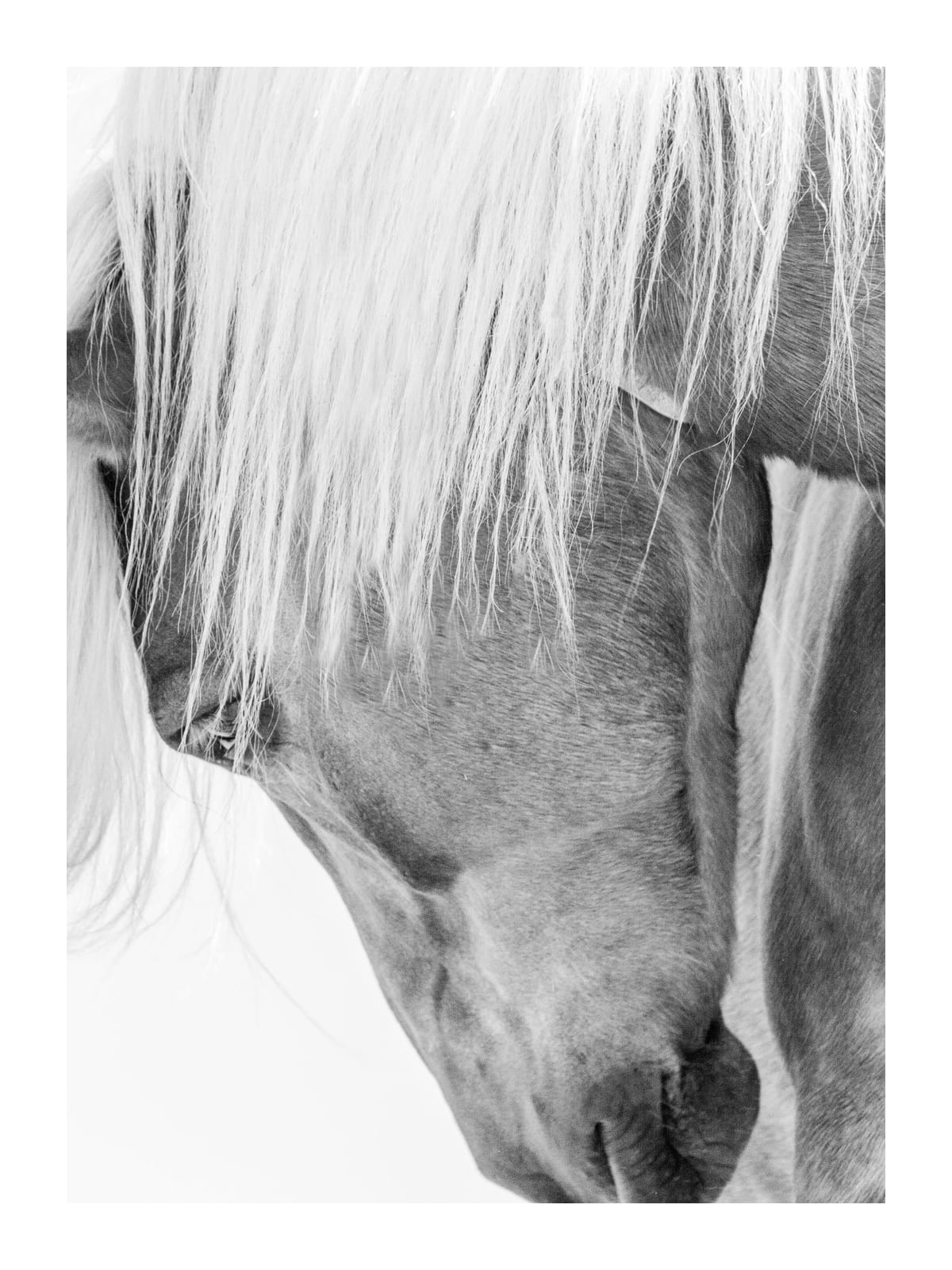 variant-30x40_with-margin