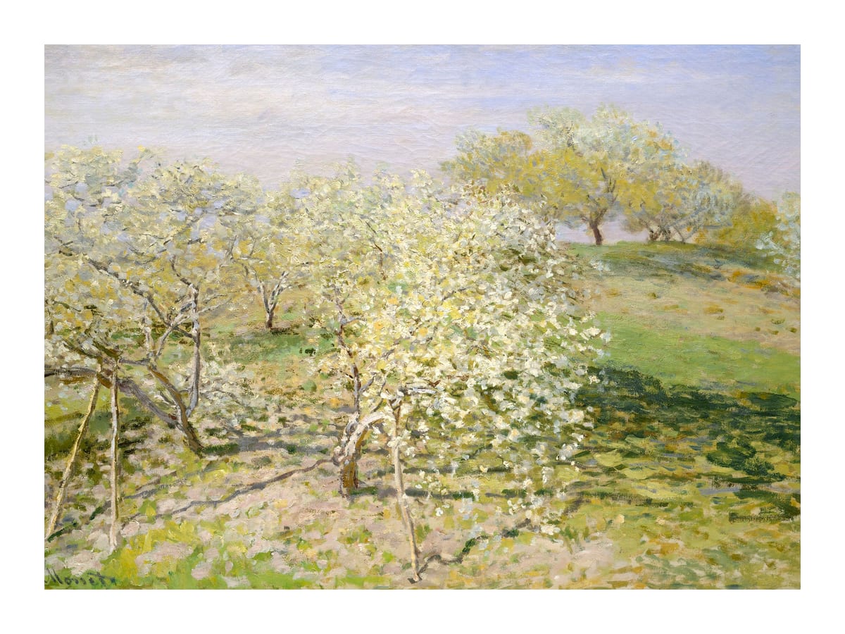 variant-30x40_with-margin