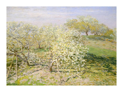 variant-30x40_with-margin
