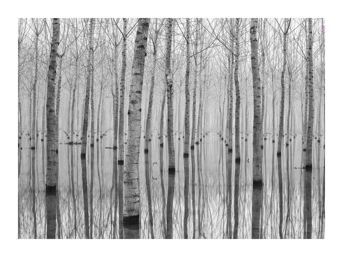 variant-30x40_with-margin