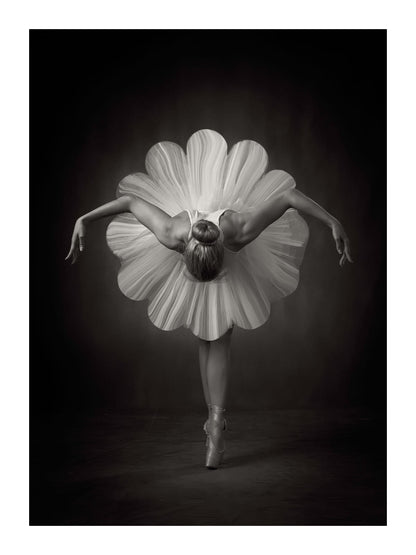 variant-30x40_with-margin
