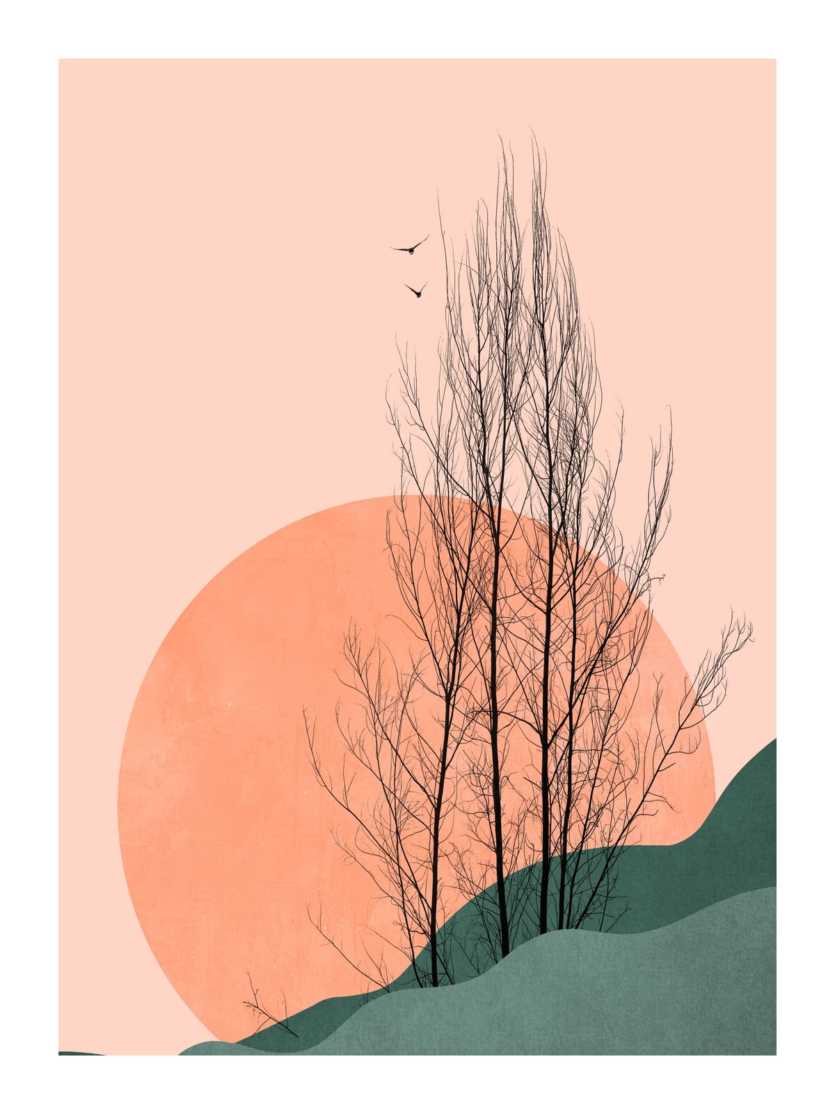 variant-30x40_with-margin