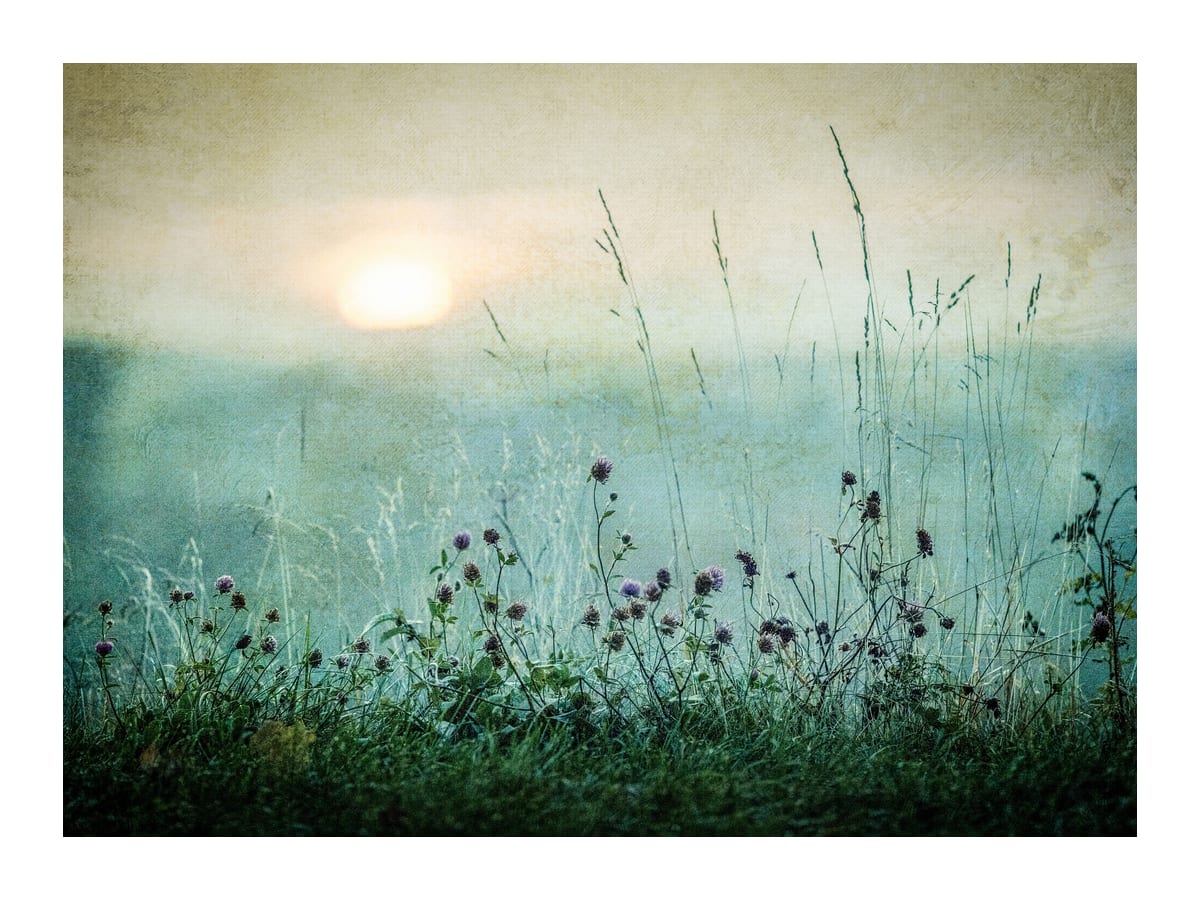 variant-30x40_with-margin