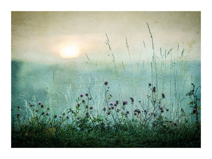 variant-30x40_with-margin