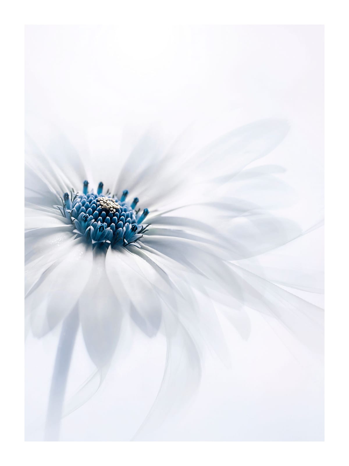 variant-30x40_with-margin