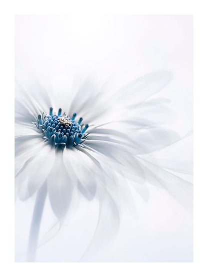 variant-30x40_with-margin