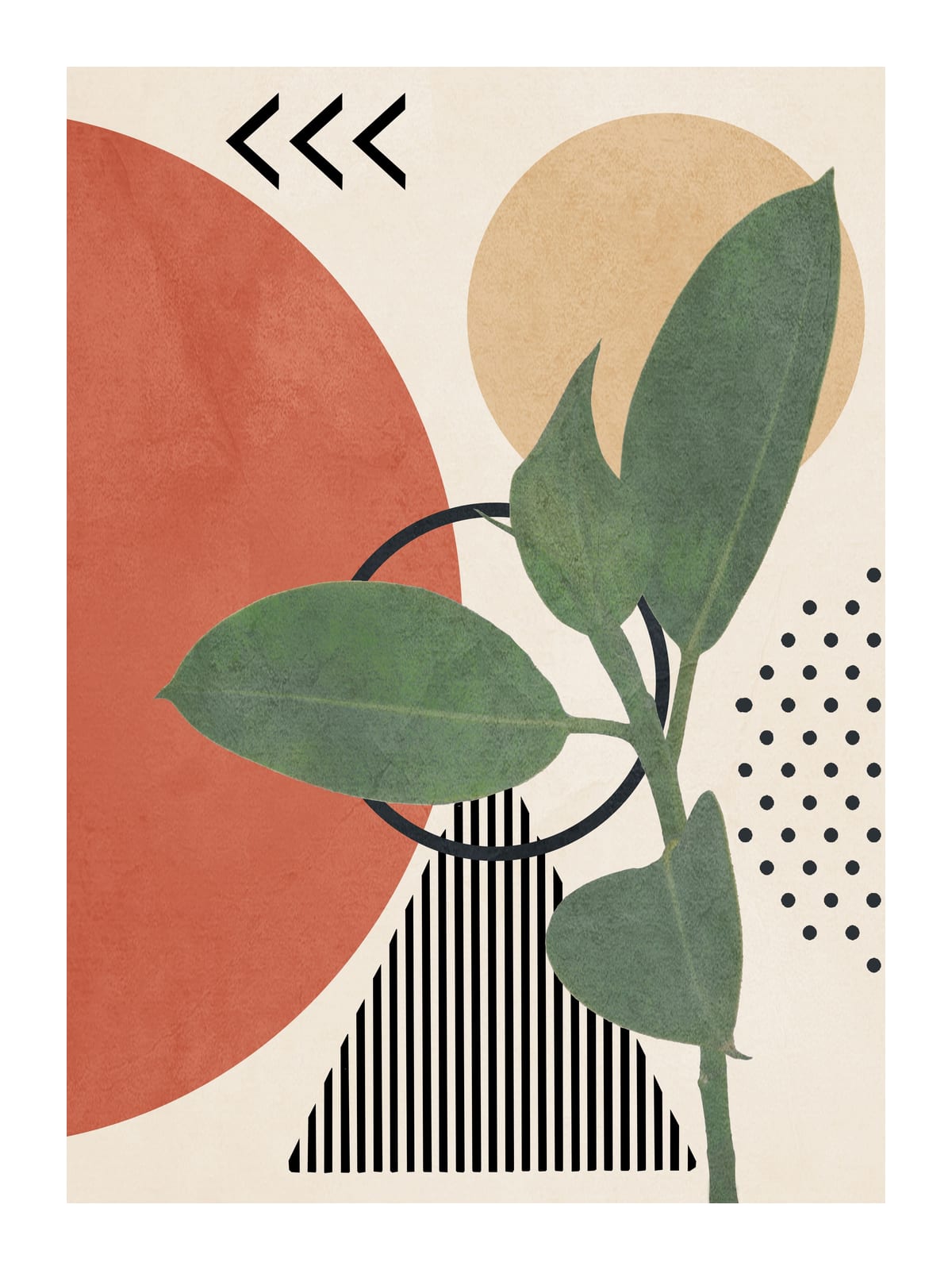 variant-30x40_with-margin