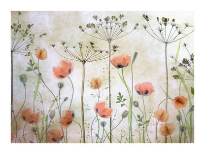 variant-30x40_with-margin