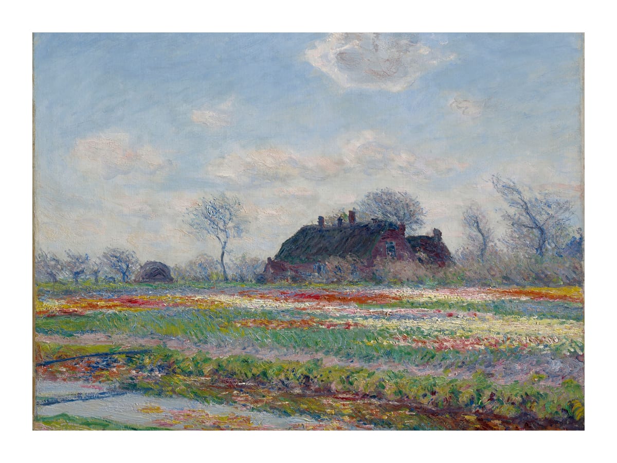 variant-30x40_with-margin